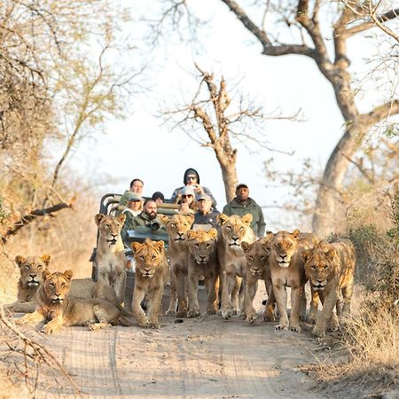 Royal Malewane Vila Reserva de Caça Thornybush Exterior foto