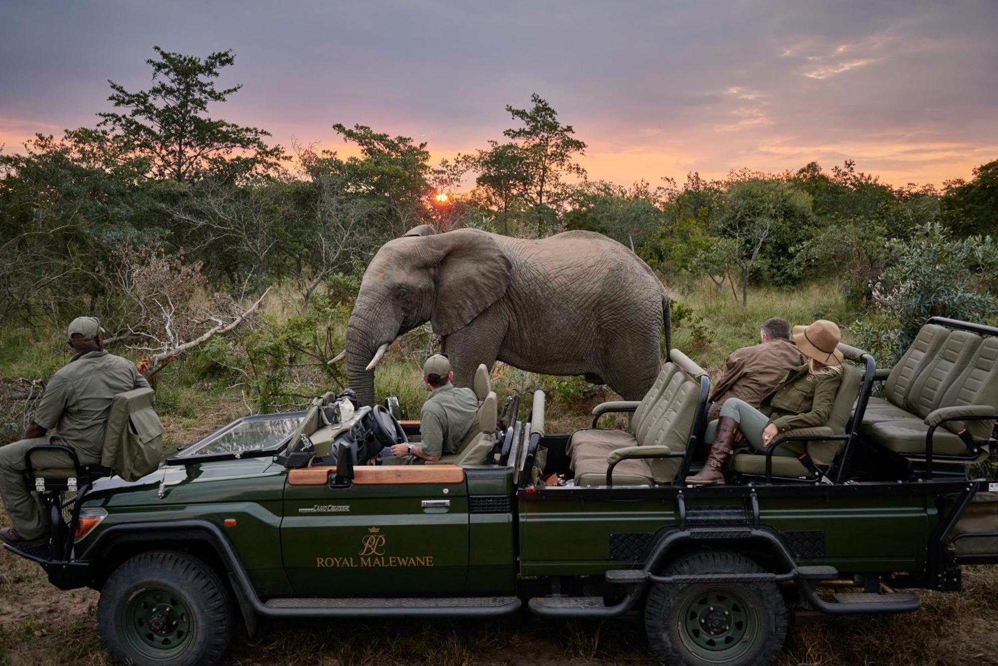 Royal Malewane Vila Reserva de Caça Thornybush Exterior foto